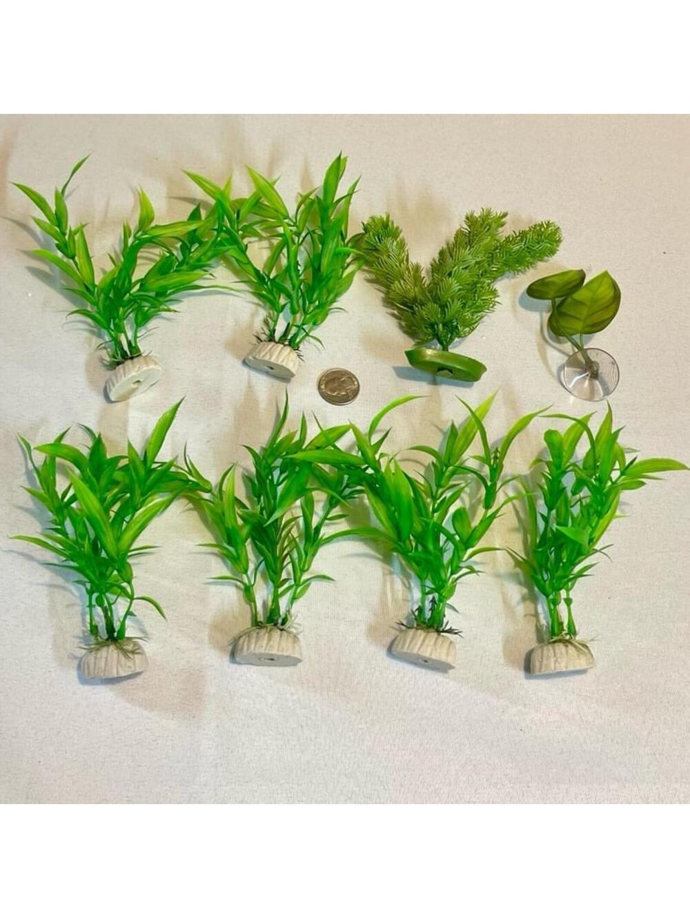 Aquarium Plants Lot of 8